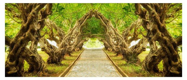 Kép - Plumeria élő alagútja (120x50 cm)