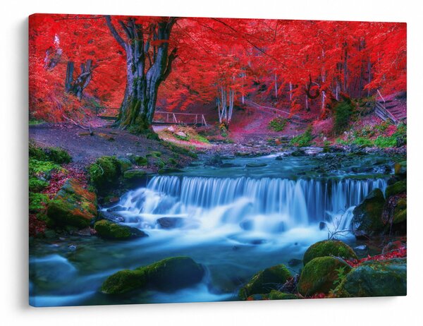 Kép Vízesés egy vörös erdőben (70x50 cm)