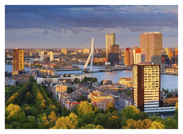 Kép - panoráma Rotterdam, Hollandia (70x50 cm)