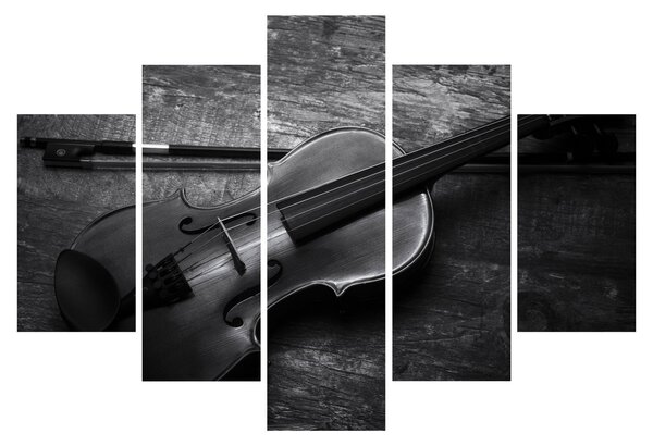 Kép - Viola (150x105 cm)
