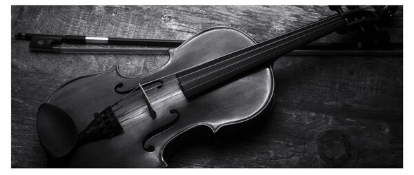 Kép - Viola (120x50 cm)