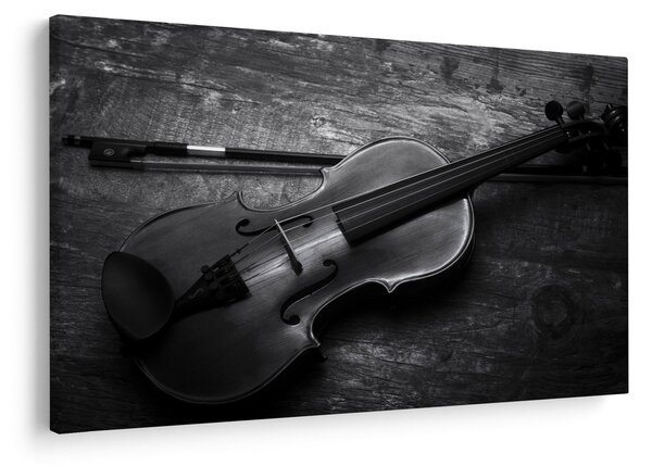 Kép - Viola (90x60 cm)