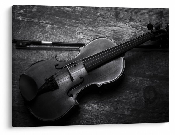 Kép - Viola (70x50 cm)