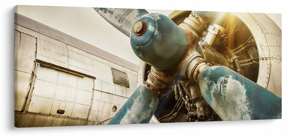 Kép - Egy régi repülőgép légcsavarja (120x50 cm)