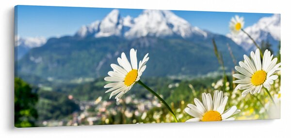 Kép - tavasz az Alpokban (120x50 cm)