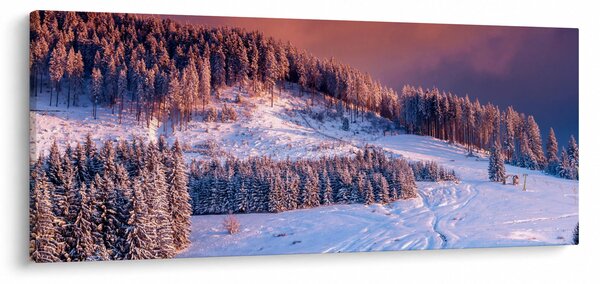 Egy kép egy téli tájról (120x50 cm)