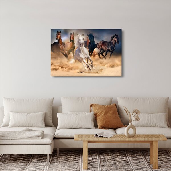 Kép - lovak a sivatagban (90x60 cm)