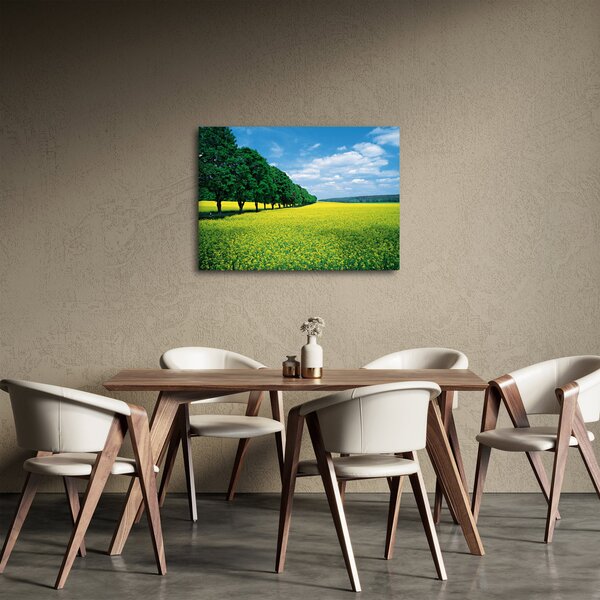 A mező képe egy sikátorral (70x50 cm)