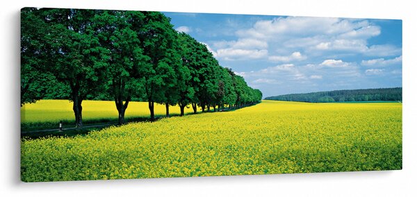 A mező képe egy sikátorral (120x50 cm)