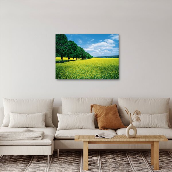 A mező képe egy sikátorral (70x50 cm)