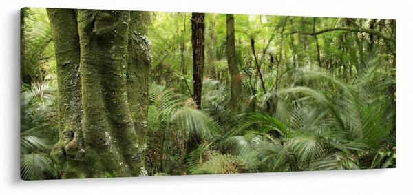 Trópusi esőerdő kép (120x50 cm)
