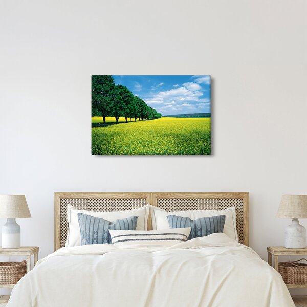 A mező képe egy sikátorral (90x60 cm)