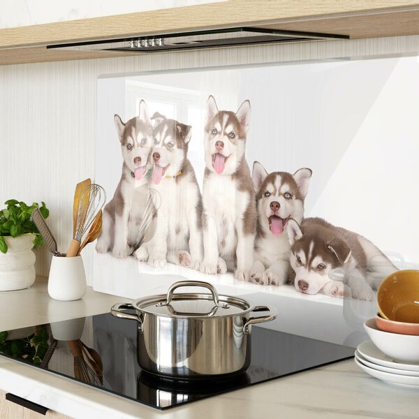 Edzett üveg vágódeszka Husky kölykök