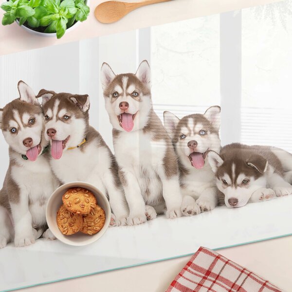 Edzett üveg vágódeszka Husky kölykök