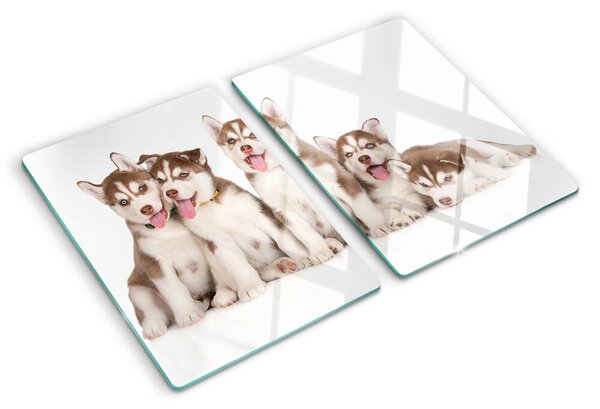 Edzett üveg vágódeszka Husky kölykök