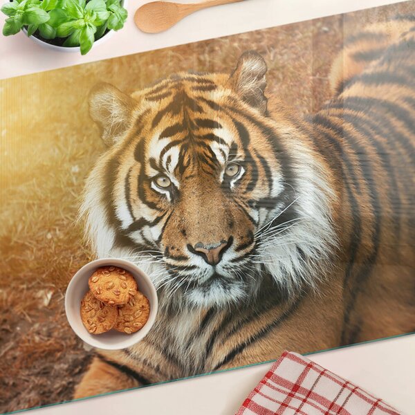 Edzett üveg vágódeszka Tigris a nap sugaraiban
