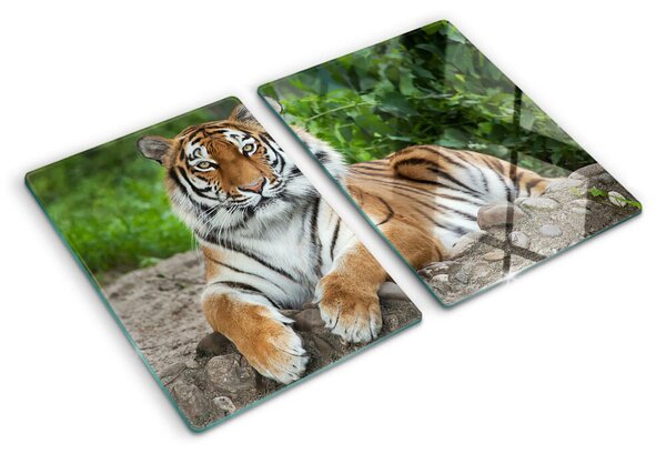 Edzett üveg vágódeszka Tigris természetes élőhelyén