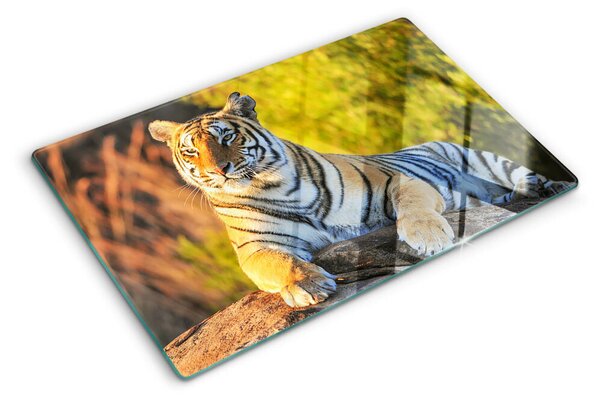 Edzett üveg vágódeszka Tigris a természet hátterében