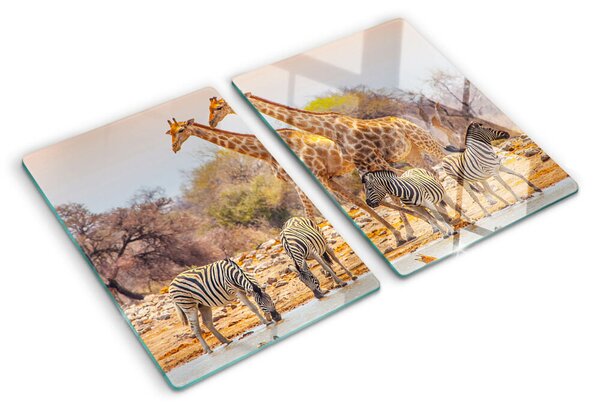 Edzett üveg vágódeszka Zebra és zsiráf természetes élőhelyükön