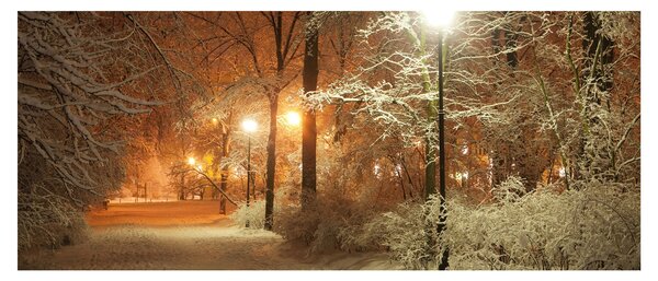 Kép - havas park (120x50 cm)