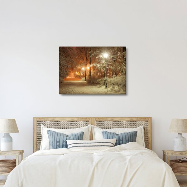 Kép - havas park (70x50 cm)