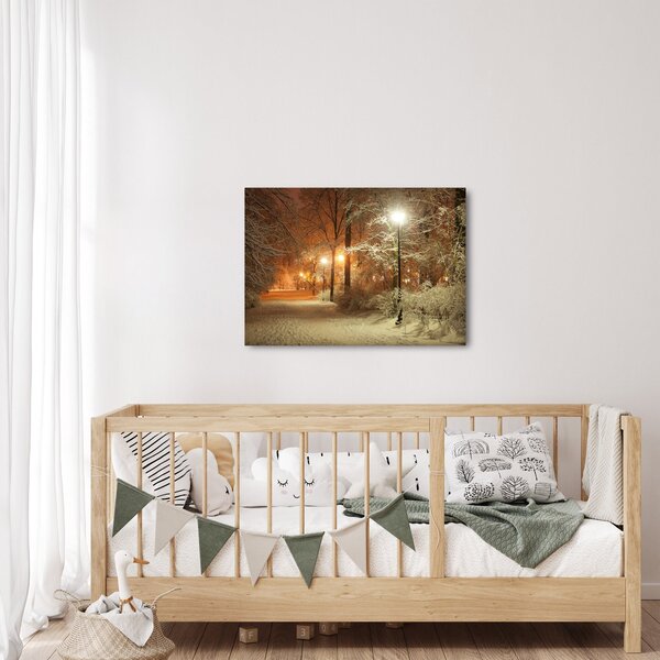 Kép - havas park (70x50 cm)