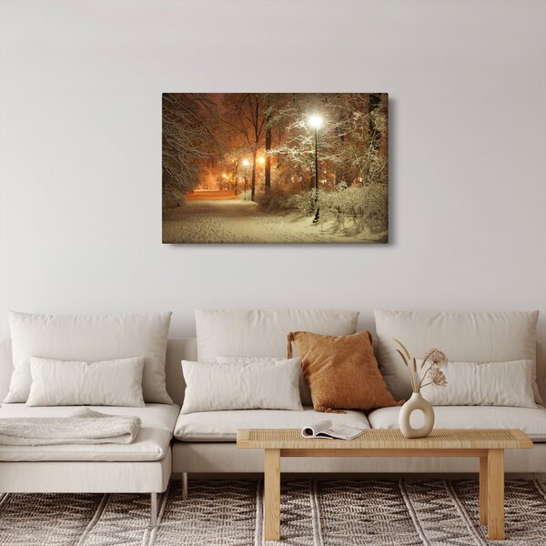 Kép - havas park (90x60 cm)