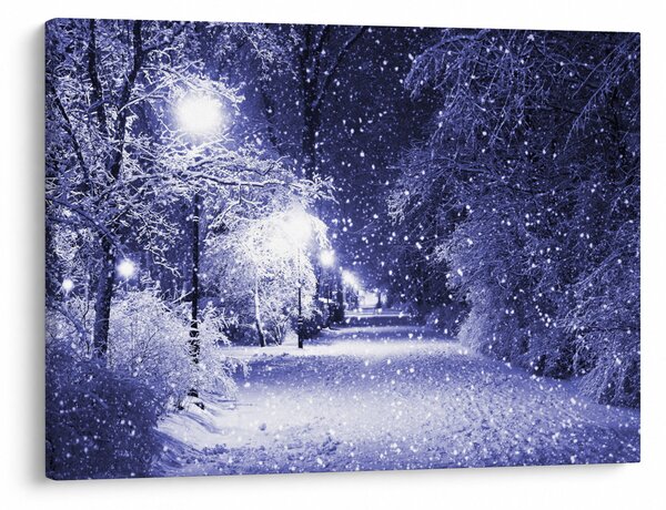 Kép - varázslatos téli éjszaka (70x50 cm)