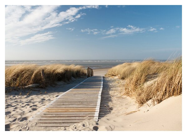 Kép - Homokos strand Langeoog szigetén, Németországban (70x50 cm)