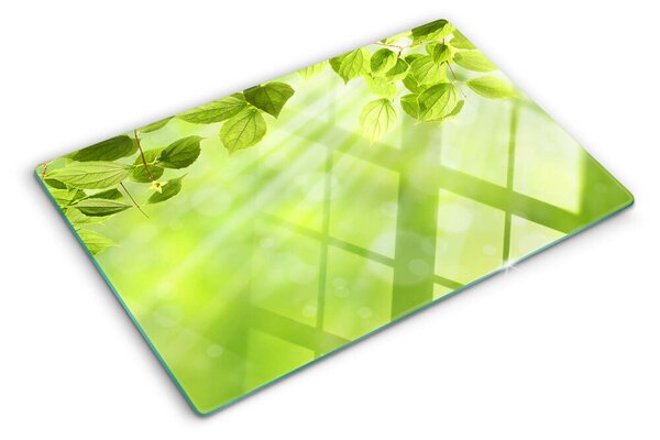 Üveg vágódeszka Zöld levelek a fénnyel szemben