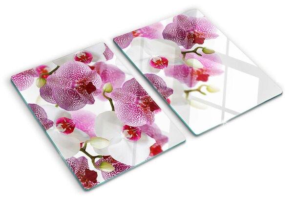 Edzett üveg vágódeszka Orchideák az ablak hátterében