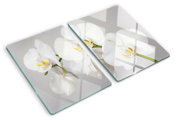 Üveg vágódeszka fényképpel Orchideák tükörkép háttér előtt
