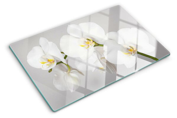 Üveg vágódeszka fényképpel Orchideák tükörkép háttér előtt