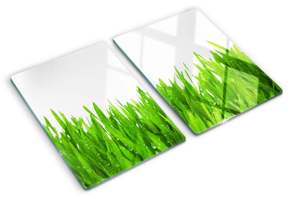 Üveg vágódeszka fényképpel Zöld fű vízcseppekkel
