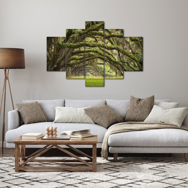 Kép - Oaks Avenue, Charleston, Dél-Karolina, Egyesült Államok (150x105 cm)