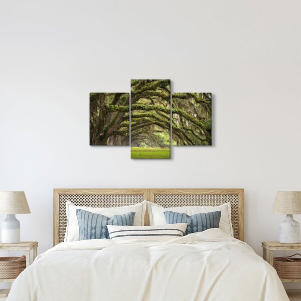 Kép - Oaks Avenue, Charleston, Dél-Karolina, Egyesült Államok (90x60 cm)
