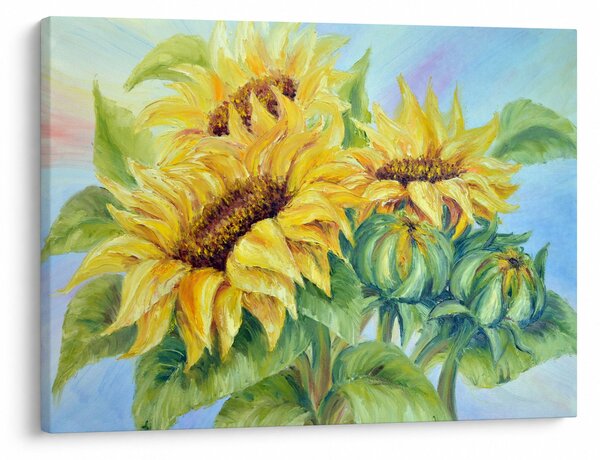 Virágzó napraforgó képe (70x50 cm)