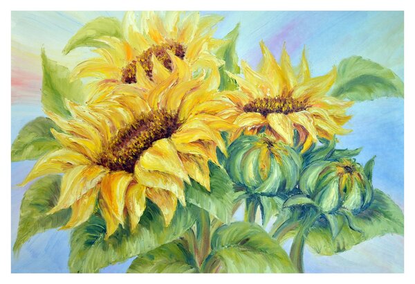 Virágzó napraforgó képe (90x60 cm)