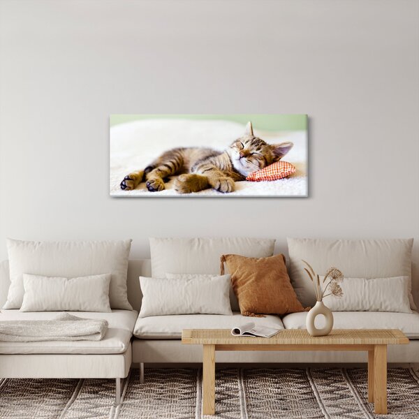 Kép - alvó cica (120x50 cm)