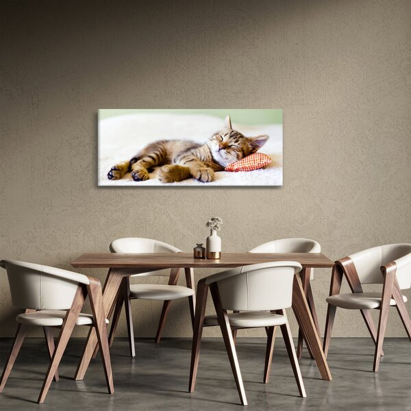 Kép - alvó cica (120x50 cm)
