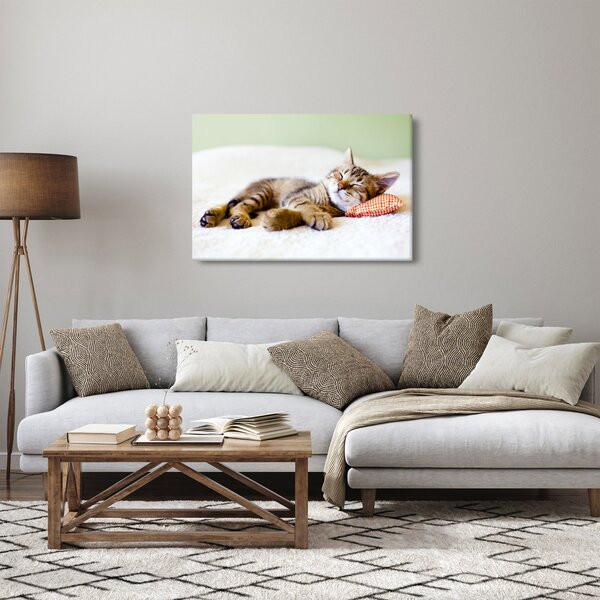 Kép - alvó cica (90x60 cm)