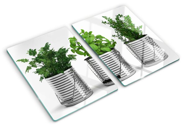 Üveg vágódeszka fényképpel Fém cserepekben lévő növények
