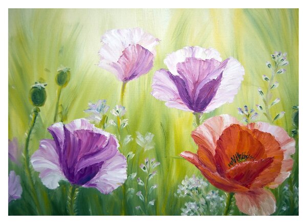 Kép - Pipacsok (70x50 cm)