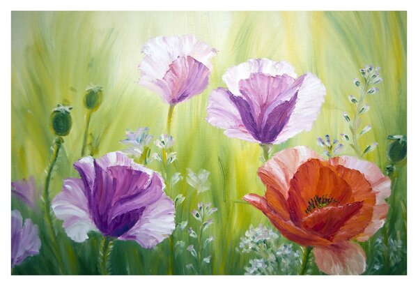 Kép - Pipacsok (90x60 cm)