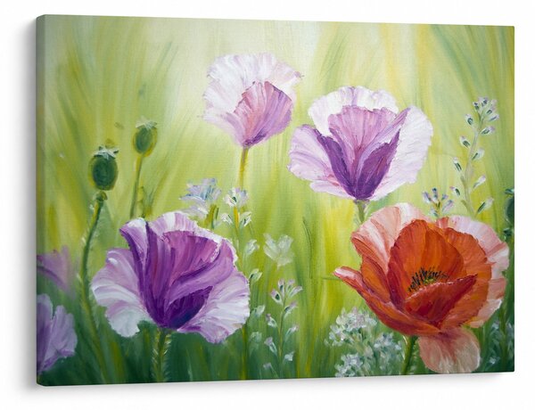 Kép - Pipacsok (70x50 cm)