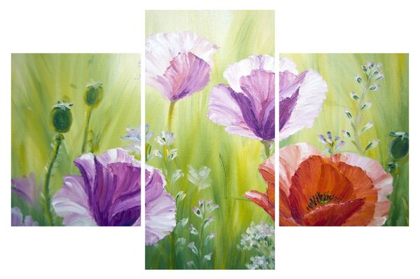 Kép - Pipacsok (90x60 cm)