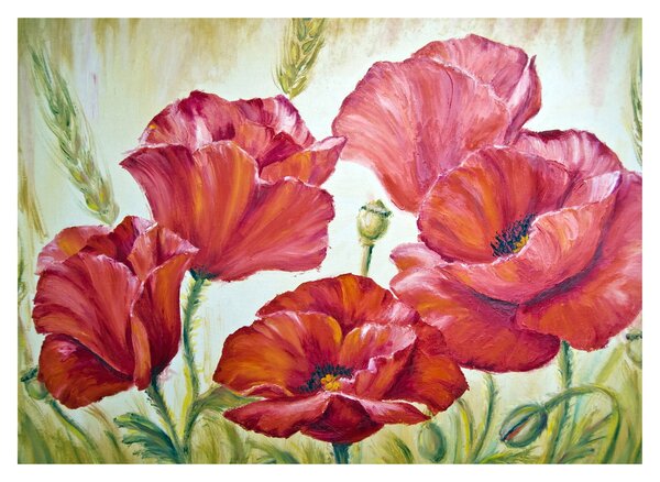 Kép - Pipacsvirágok (70x50 cm)