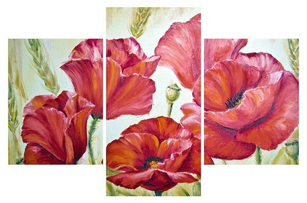 Kép - Pipacsvirágok (90x60 cm)