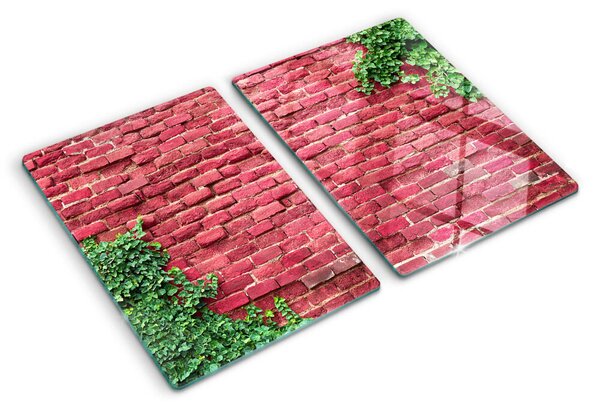 Üveg vágódeszka Téglafal növényzettel