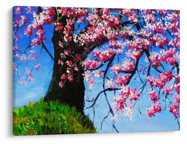 Kép festett cseresznyevirágok (70x50 cm)